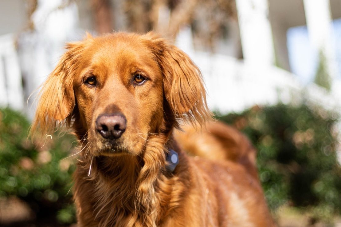 Everyone’s Favorite