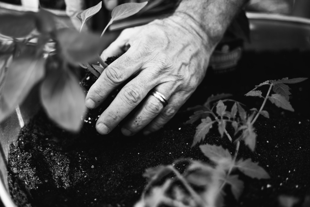 Get your hands&nbsp;dirty